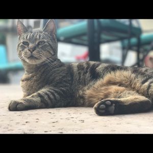 Meet your Posher, Sophie